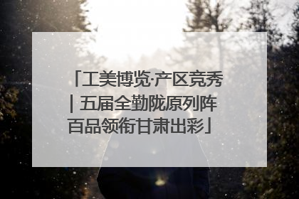 工美博览·产区竞秀｜五届全勤陇原列阵 百品领衔甘肃出彩