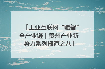 工业互联网“赋智”全产业链｜贵州产业新势力系列报道之八