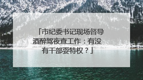 市纪委书记现场督导酒醉驾夜查工作：有没有干部耍特权？