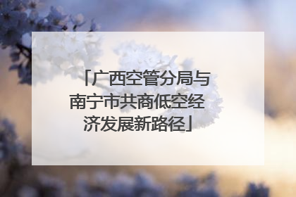 广西空管分局与南宁市共商低空经济发展新路径