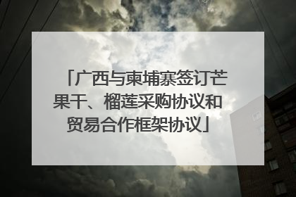 广西与柬埔寨签订芒果干、榴莲采购协议和贸易合作框架协议