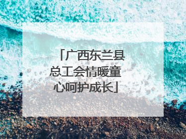 广西东兰县总工会情暖童心呵护成长