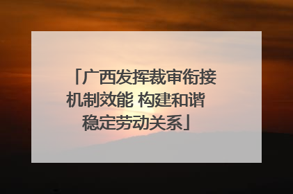广西发挥裁审衔接机制效能 构建和谐稳定劳动关系