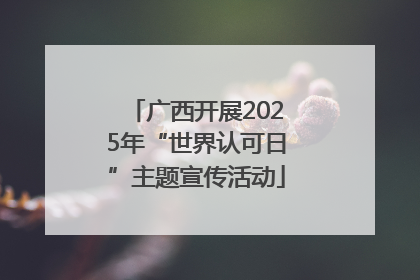 广西开展2025年“世界认可日”主题宣传活动