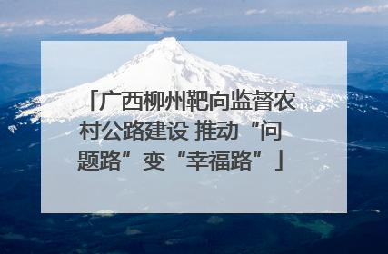 广西柳州靶向监督农村公路建设 推动“问题路”变“幸福路”