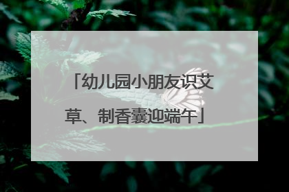 幼儿园小朋友识艾草、制香囊迎端午