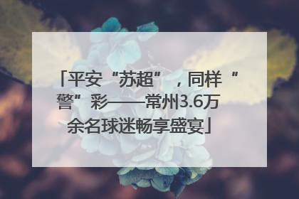 平安“苏超”，同样“警”彩——常州3.6万余名球迷畅享盛宴