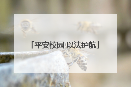 平安校园 以法护航