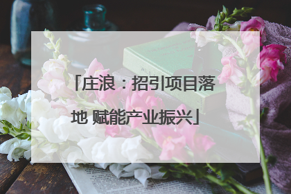 庄浪：招引项目落地 赋能产业振兴