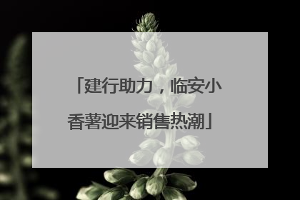 建行助力，临安小香薯迎来销售热潮