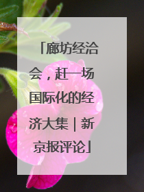 廊坊经洽会，赶一场国际化的经济大集｜新京报评论