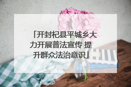 开封杞县平城乡大力开展普法宣传 提升群众法治意识