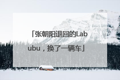 张朝阳退回的Labubu，换了一辆车