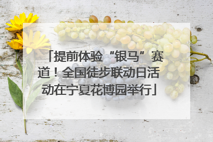 提前体验“银马”赛道！全国徒步联动日活动在宁夏花博园举行