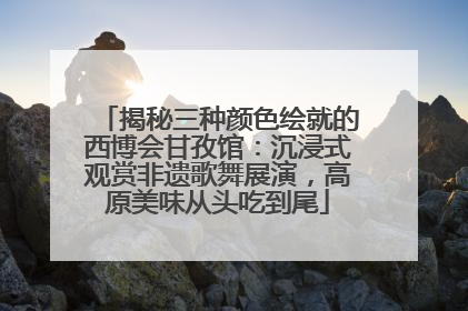 揭秘三种颜色绘就的西博会甘孜馆：沉浸式观赏非遗歌舞展演，高原美味从头吃到尾