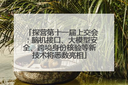 探营第十一届上交会：脑机接口、大模型安全、跨境身份核验等新技术将悉数亮相