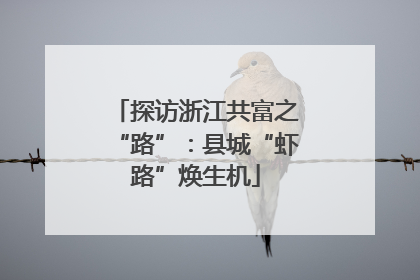探访浙江共富之“路”：县城“虾路”焕生机