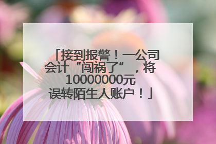 接到报警！一公司会计“闯祸了”，将10000000元误转陌生人账户！