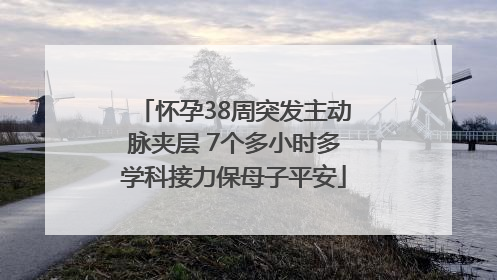 怀孕38周突发主动脉夹层 7个多小时多学科接力保母子平安