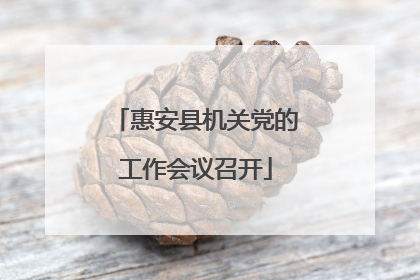 惠安县机关党的工作会议召开