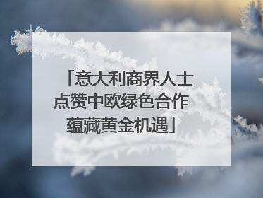意大利商界人士点赞中欧绿色合作蕴藏黄金机遇