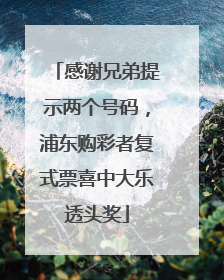 感谢兄弟提示两个号码，浦东购彩者复式票喜中大乐透头奖
