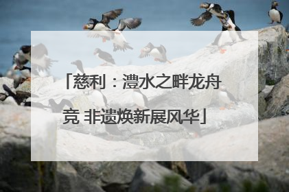 慈利：澧水之畔龙舟竞 非遗焕新展风华