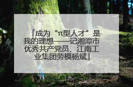 成为“π型人才”是我的理想——记湘潭市优秀共产党员、江南工业集团劳模杨斌