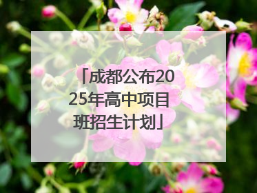 成都公布2025年高中项目班招生计划