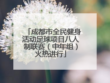 成都市全民健身活动足球项目八人制联赛（中年组）火热进行
