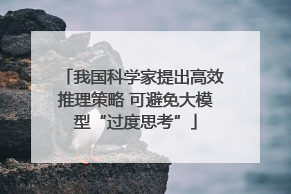 我国科学家提出高效推理策略 可避免大模型“过度思考”