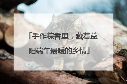 手作粽香里，藏着益阳端午最暖的乡情
