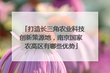 打造长三角农业科技创新策源地，南京国家农高区有哪些优势
