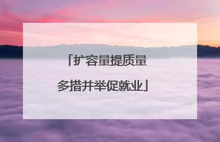 扩容量提质量 多措并举促就业