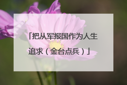 把从军报国作为人生追求（金台点兵）