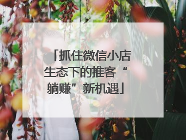 抓住微信小店生态下的推客“躺赚”新机遇