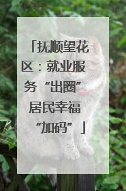 抚顺望花区：就业服务“出圈” 居民幸福“加码”