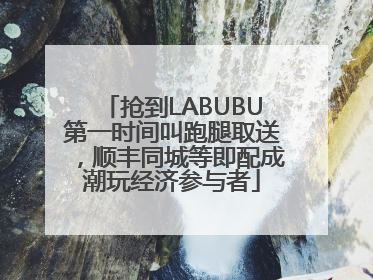 抢到LABUBU第一时间叫跑腿取送，顺丰同城等即配成潮玩经济参与者
