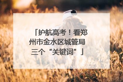 护航高考！看郑州市金水区城管局三个“关键词”