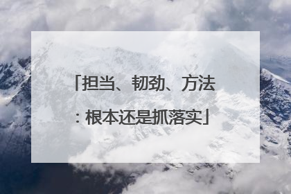 担当、韧劲、方法：根本还是抓落实