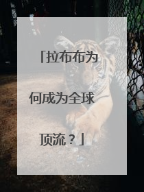 拉布布为何成为全球顶流？