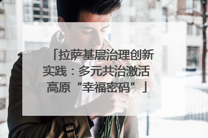 拉萨基层治理创新实践：多元共治激活高原“幸福密码”