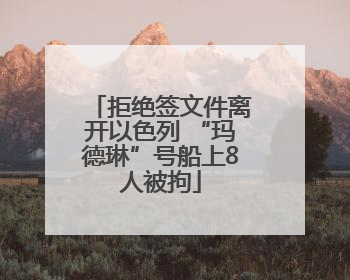 拒绝签文件离开以色列 “玛德琳”号船上8人被拘