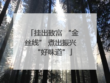 挂出致富 “金丝线” 煮出振兴“好味道”