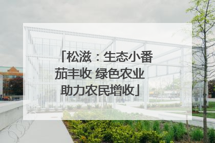 松滋：生态小番茄丰收 绿色农业助力农民增收