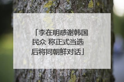 李在明感谢韩国民众 称正式当选后将同朝鲜对话