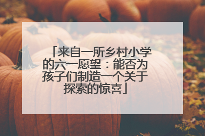 来自一所乡村小学的六一愿望：能否为孩子们制造一个关于探索的惊喜