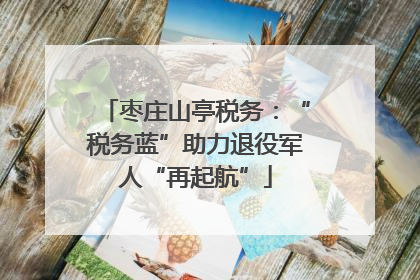 枣庄山亭税务：“税务蓝”助力退役军人“再起航”
