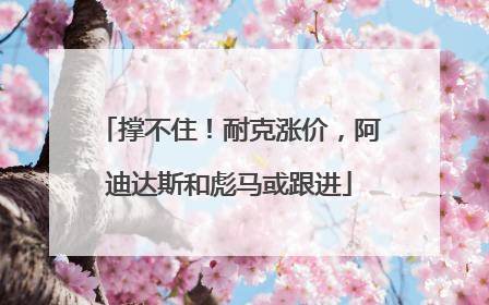 撑不住！耐克涨价，阿迪达斯和彪马或跟进