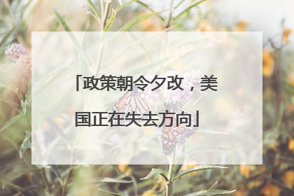 政策朝令夕改，美国正在失去方向